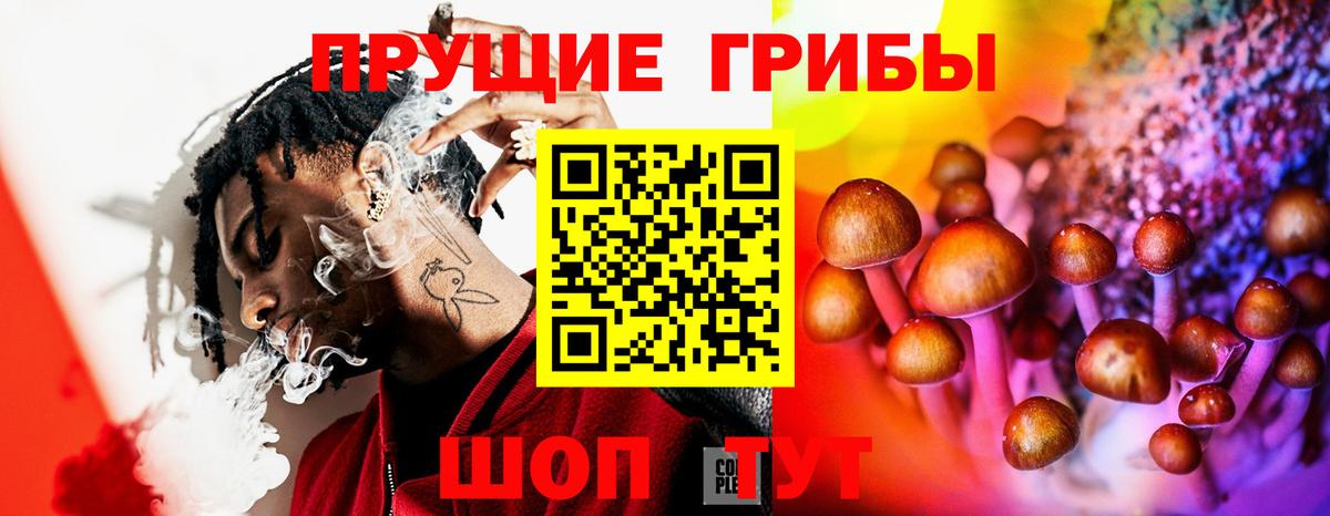 Псилоцибиновые грибы мухоморы Гусь-Хрустальный